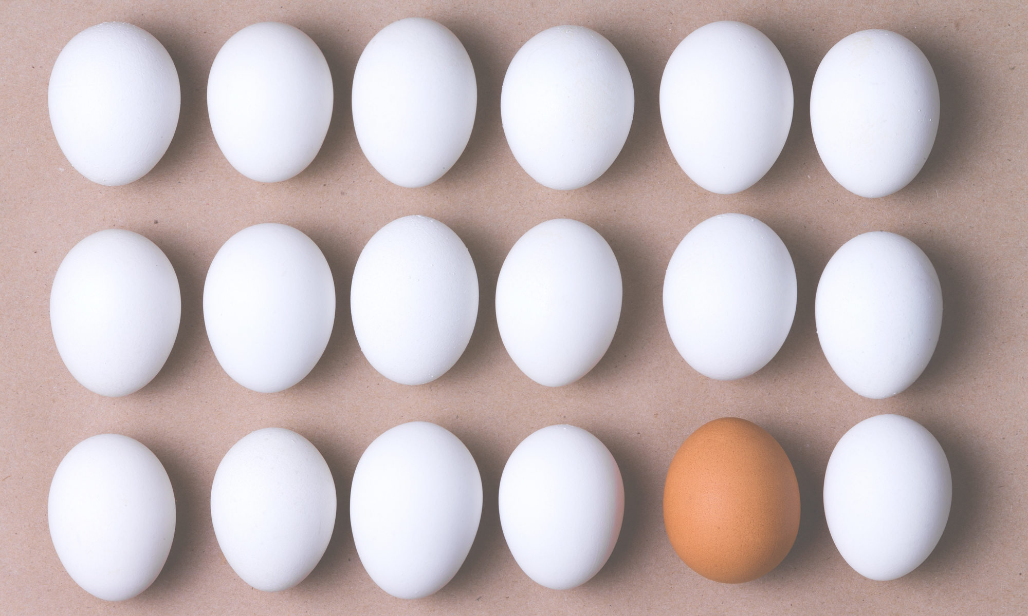 Eggs have been demonized for their high cholesterol content. But there’s more to this.