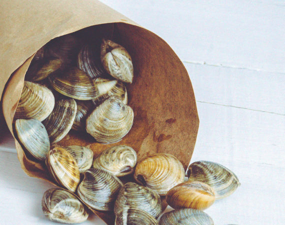 Clams are an energy powerhouse with essential nutrients.