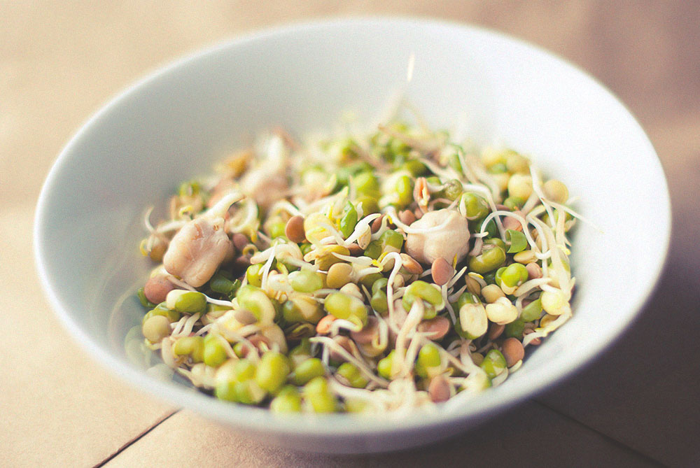 Find out if sprouting's promising health benefits are right for you.